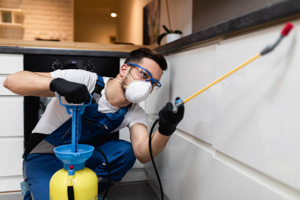 Best Affordable Pest Control Services  in Lamar, TX