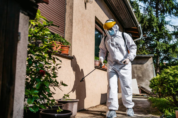 Best Pest Removal Services  in Lamar, TX