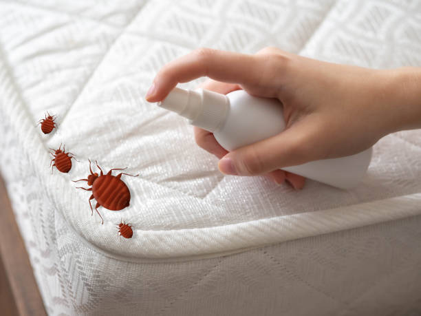 Best Pest Inspection Near Me  in Lamar, TX