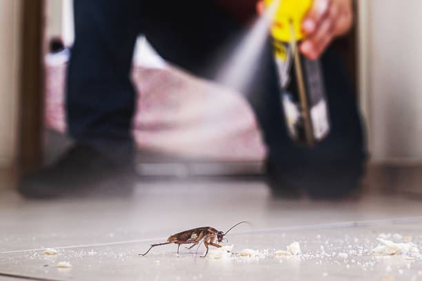 Best Pest Prevention Services  in Lamar, TX