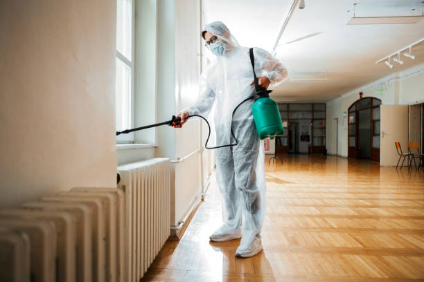 Best Affordable Pest Control Services  in Lamar, TX
