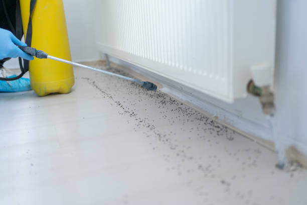 Lamar, TX Pest Control Company